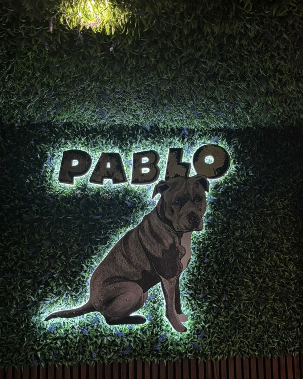 Neues Hund-Logo für Pizzeria Pablo – Referenzprojekt von Visuellewand