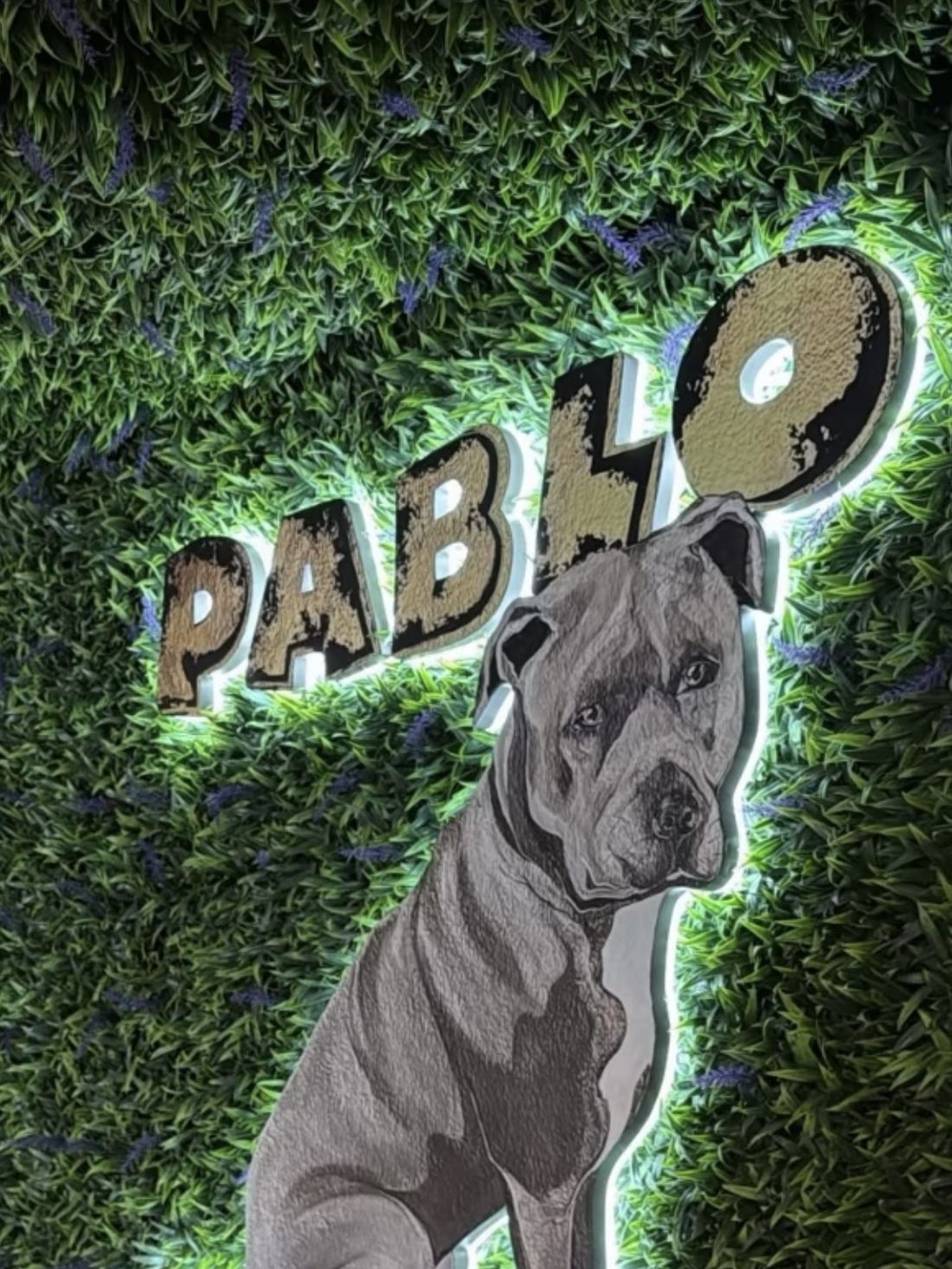 Nahaufnahme des PABLO-Logos mit Hunde-Illustration auf der Kunstpflanzenwand